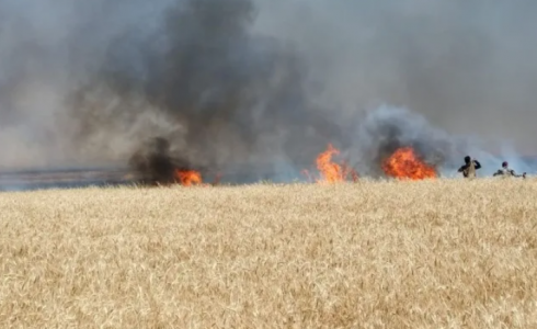 اشتعال النار في حقول القمح بمنطقة خيرسون خيرسون - تعبيرية