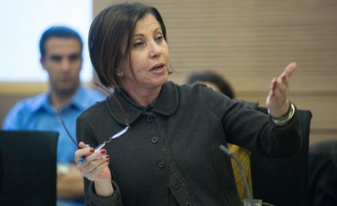 زهافا غلؤون تفوز برئاسة حزب ميرتس