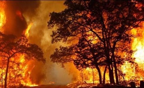 صورة حريق -ارشيف.