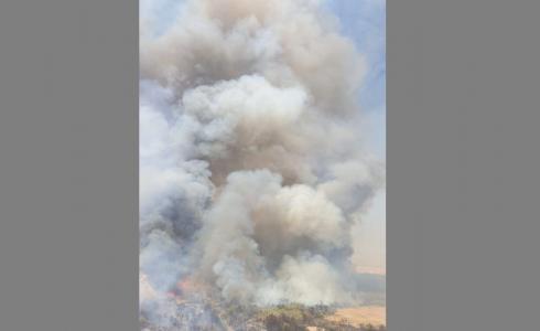 حريق كبير في محمية طبيعية في منطقة نهر الاردن