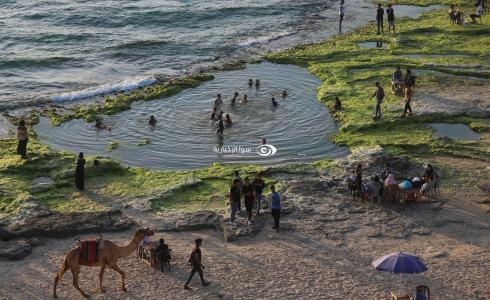 طقس فلسطين - بحر غزة