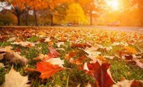 متى يبدأ فصل الخريف في فلسطين 2022 ومتى ينتهي