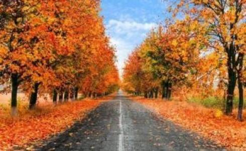 موعد أول أيام فصل الخريف في السعودية والوطن العربي
