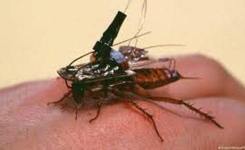 حشرة آلية تعمل كروبوت