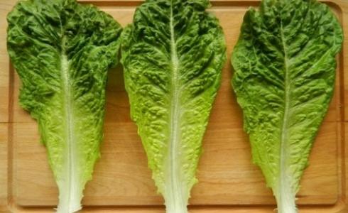 تعرف عليها - "فوائد مدهشة" في الخس لمرضى السكري