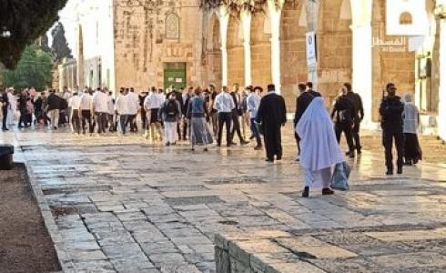 مستوطنون يقتحمون المسجد الأقصى في رابع أيام "عيد العُرش"