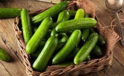 هل الخيار يزيد الوزن ؟