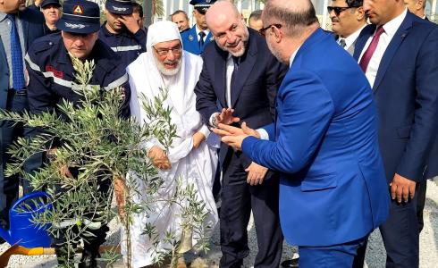 "الهباش" يغرس شجرات زيتون فلسطينية في ساحة جامع الجزائر الأعظم