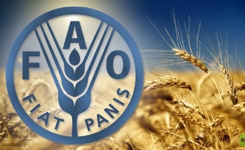 فاو تقول ان الفاتورة العالمية للواردات الغذائية ارتفعت في العام الجاري