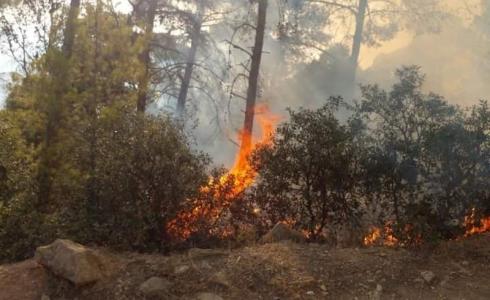 حرائق إقليم تاونات شمال غرب المغرب متواصلة لليوم الثاني