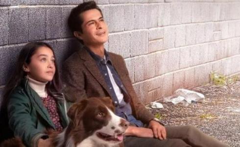 مسلسل أميرة بلا تاج