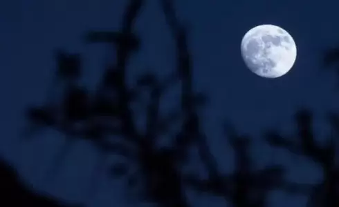 قمر شهر شعبان في تربيعه الأخير