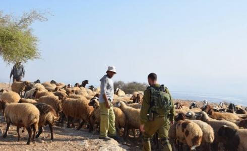 مستوطنون يطاردون رعاة أغنام بالضفة - أرشيف