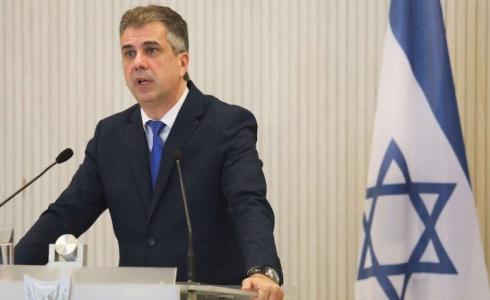 وزير الخارجية الإسرائيلي إيلي كوهين
