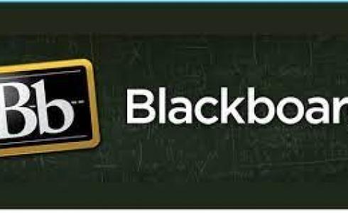 رابط بلاك بورد kau الجديد 1445