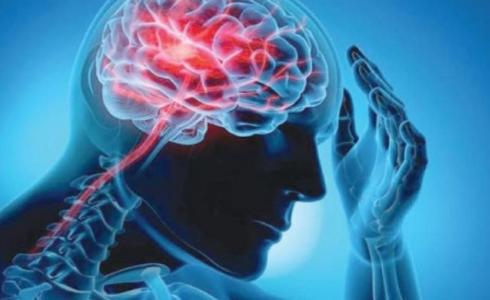 تأثير الفيتامينات على الذاكرة