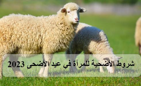 شروط الأضحية للمرأة في عيد الأضحى 2023