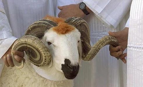 فضل الأضحية - عيد الأضحى 2023