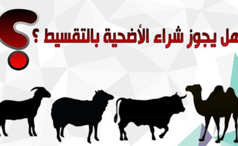 عيد الاضحى 2023 -هل يجوز شراء الاضحية بالتقسيط