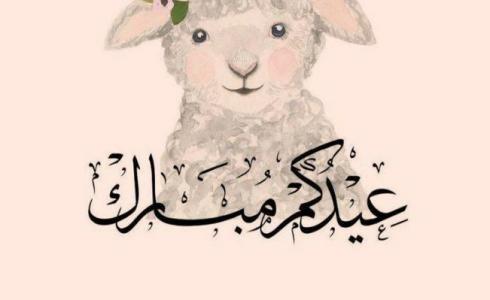 أسعار الأضاحي 2023 في السودان