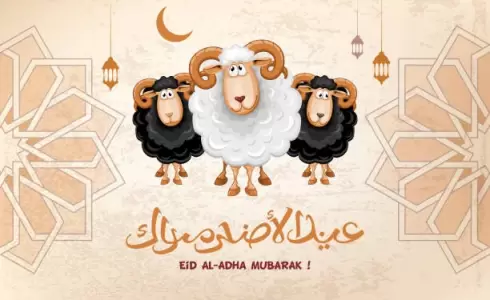 رسائل عيد الأضحى 2023 مضحكة - تهنئة عيد الأضحى كوميدية