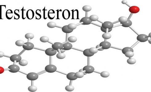 العلاج بهرمون الذكورة وأمراض القلب