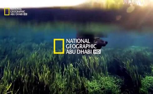 تردد قناة ناشونال جيوغرافيك أبوظبي 2023 الجديد على النايل سات والعرب سات