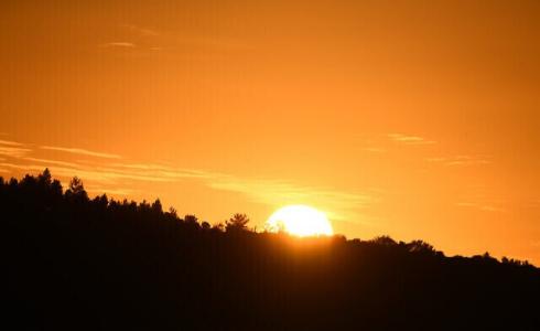 كم بلغت خسائر المزارعين الإسرائيليين بسبب موجة الحر ؟ / صورة توضيحية