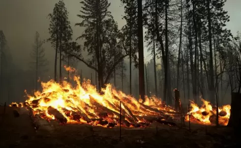 ستة قتلى في حريق غابات في إحدى جزر هاواي