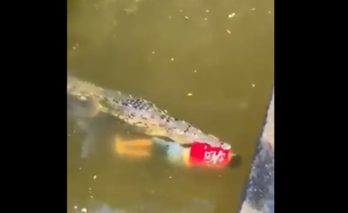 فيديو صادم.. تمساح يلتهم اللاعب خيسوس أثناء سباحته في النهر