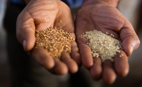 الاكلات التي يوضع فيها السحر