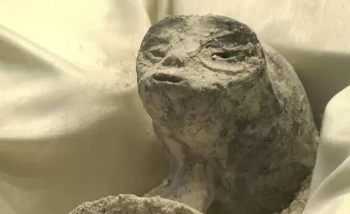 حقيقة الكائنات الفضائية في المكسيك صور الأشعة تكشف الحقيقة وتفجر الصاعقة