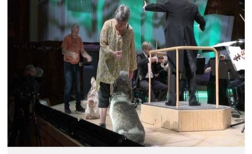 ​بالفيديو...أغرب تواجد للكلاب في العروض الموسيقية.. غناء وعزف وتشجيع