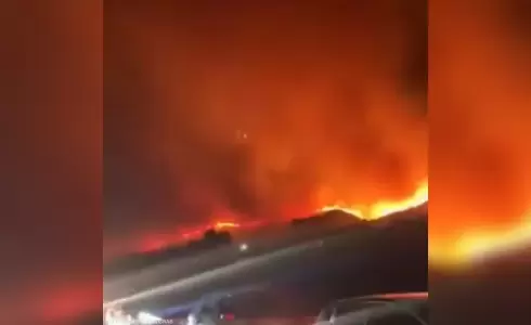 حرائق الجزائر