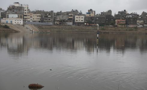 بركة الشيخ رضوان - أرشيفية