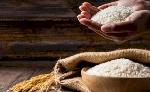 زكاة الفطر في تركيا 2024