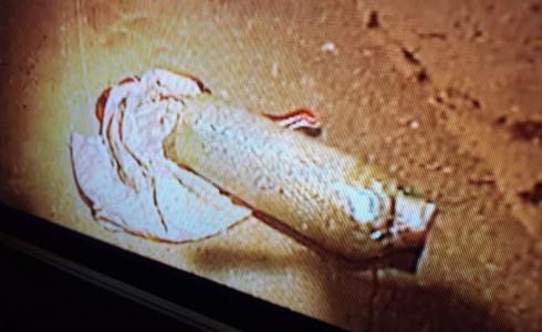 الشاباك- احباط عملية تفجيرية في قلب إسرائيل بتوجيه من حماس