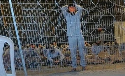 بعد حادثة سديه تيمان – فارس يدعو لتشكيل لجنة تحقيق أممية عاجلة