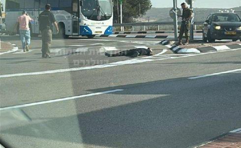 صورة لمنفذ العملية قرب مدخل مستوطنة "شيلو" شمال رام الله بعد إطلاق النار عليه