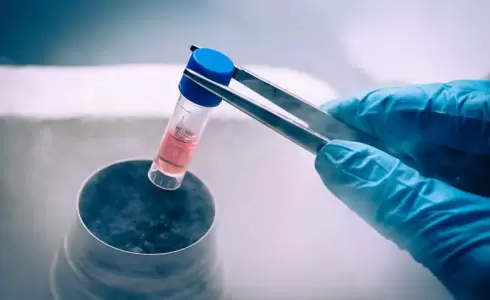 نسبة تشوه الأجنة تجاوزت الـ25% في قطاع غزة