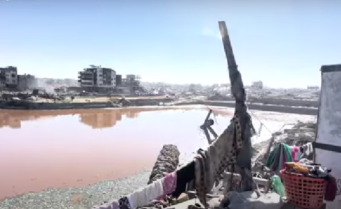 بركة الشيخ رضوان