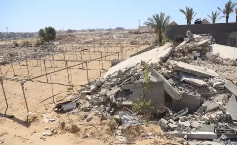 تدمير أشجار الزيتون في غزة جراء الحرب