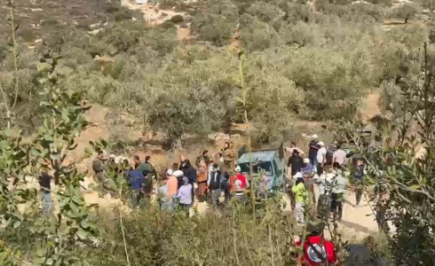 إصابات بينهم متضامن أجنبي إثر هجوم المستوطنين على قاطفي الزيتون