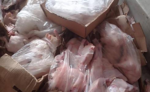 اتلاف 6 طن من الدجاج الفاسد وسط قطاع غزة