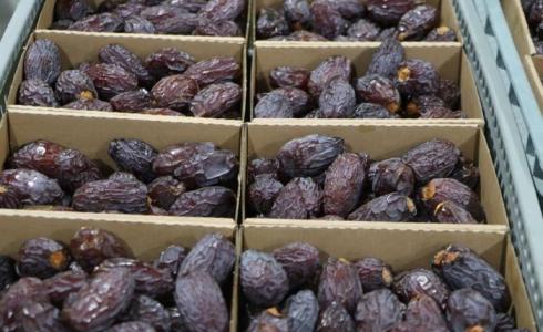 التمور الفلسطينية