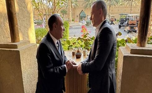 وزير الخارجية المصري بدر عبد العاطي مع ملادينوف - أرشيف