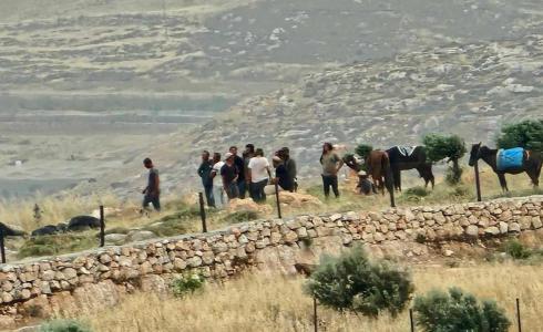 إصابة 4 مواطنين واقتلاع 60 شجرة بهجوم للمستعمرين جنوب يطا