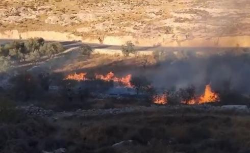 المستوطنون أشعلوا 799 حريقا في الضفة حتى تموز الماضي