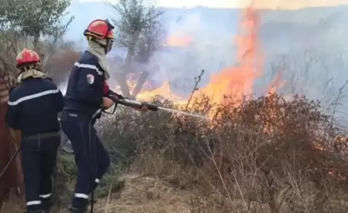 حرائق الجزائر