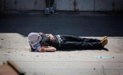 الاحتلال يعدم فلسطينيا